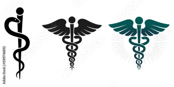 Fototapeta Medical symbol silhouette vector, Emergency Services Star With Rod Of Aesculapius Illustration - VECTOR, Black caduceus medical symbol with wings silhouette vector illustration, Black vector