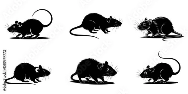 Fototapeta Rat Silhouettes, Mouse rat silhouettes set, large pack of vector silhouette design, isolated white background, Rat silhouette vector, Mouse icon collection, vector set, Silhouettes of rats, set