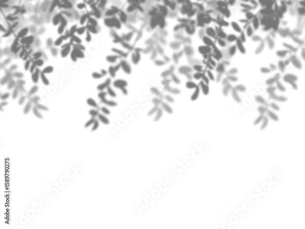 Fototapeta Realistic black shadow overlay effect of blurred natural leaf on transparent background. Tree branch leaves shadow. gray shadow and light effect. Summer spring mockup design elements, PNG