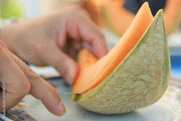 Obraz melon