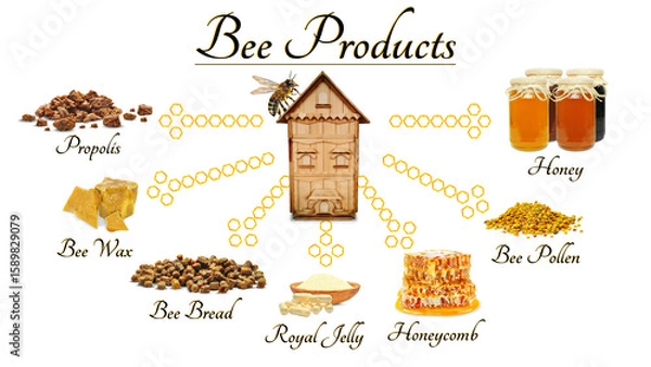 Obraz bee products and bee hive isolated on white