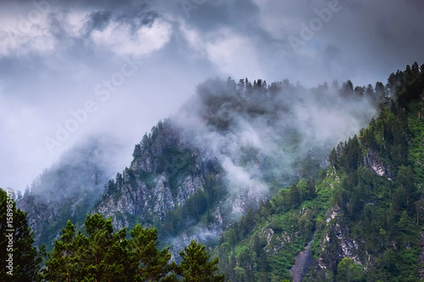 Fototapeta mountain peaks with forest in fog and clouds