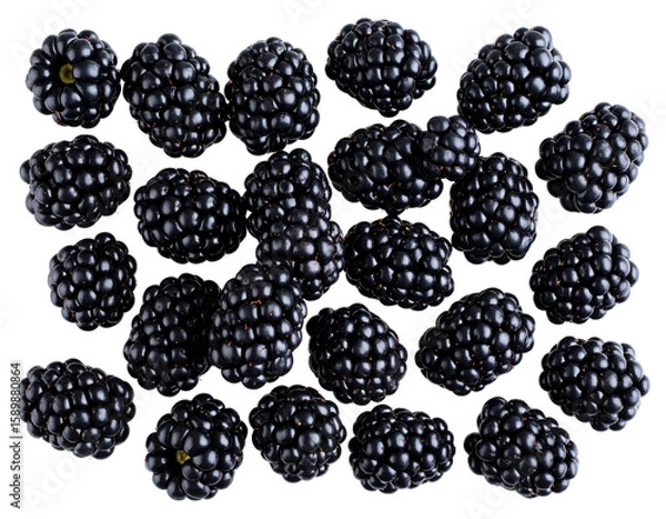 Obraz Fresh Blackberries from Top View, isolated on a transparent background