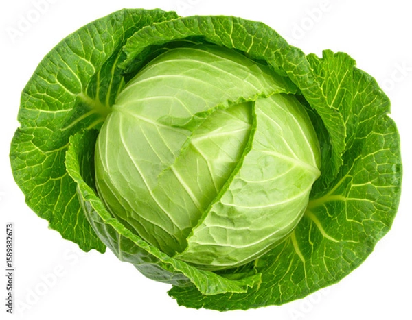 Obraz Top View of Fresh Green Cabbage Leaves, isolated on a transparent background