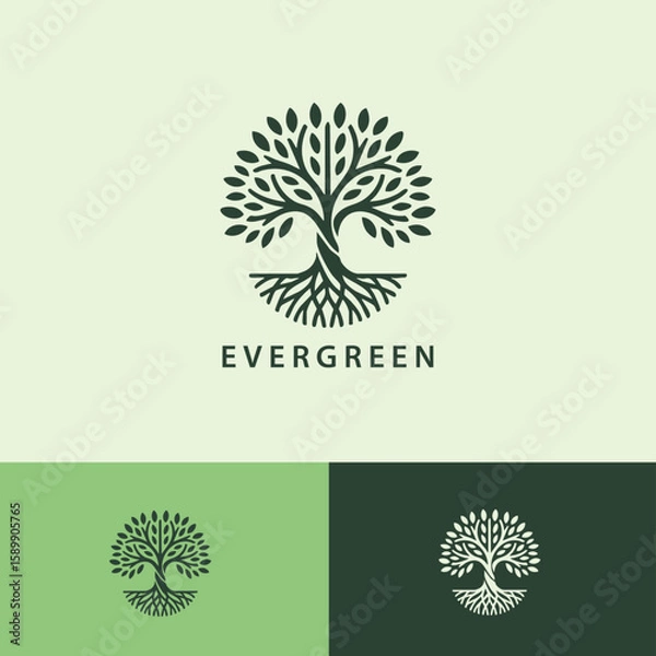 Obraz Green Tree Abstract Logo Design, Nature Logo