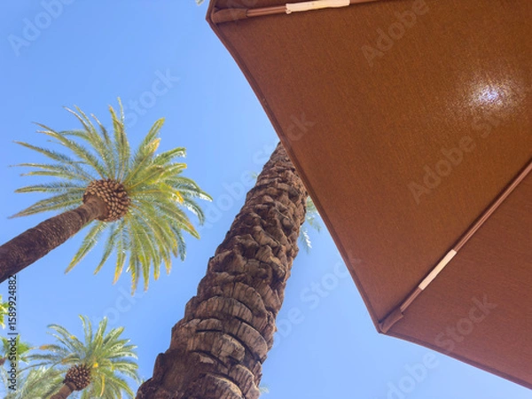 Fototapeta Beach umbrella from low angle with palm trees