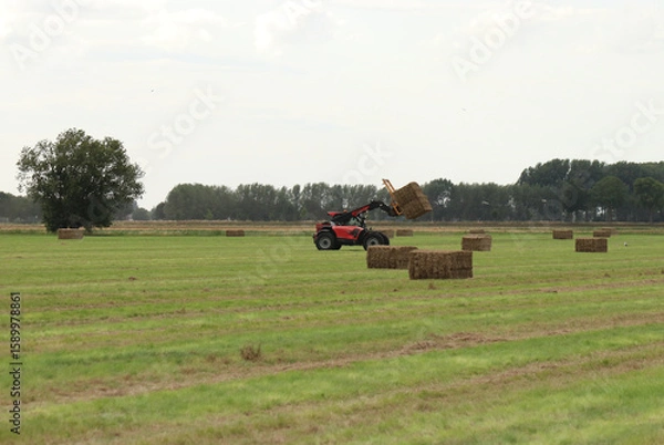 Fototapeta a green hay field with large bales and a telescopic loader in the countryside in summer