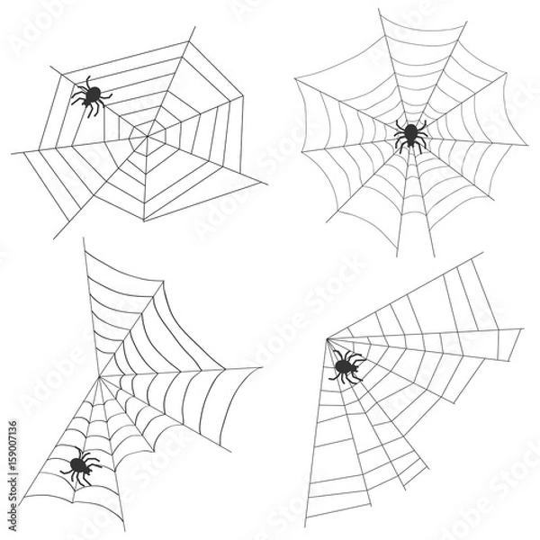 Obraz Spider web with a spider