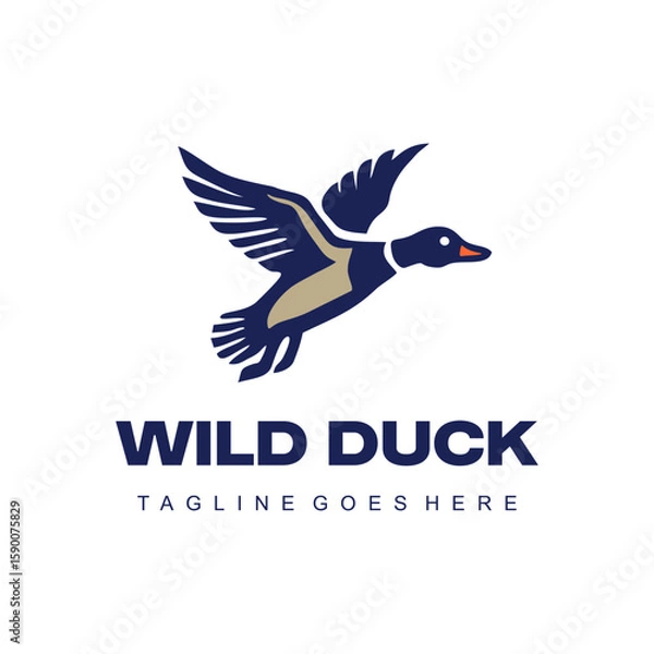 Obraz The wild duck illustrated in flight for a dynamic flying logo design