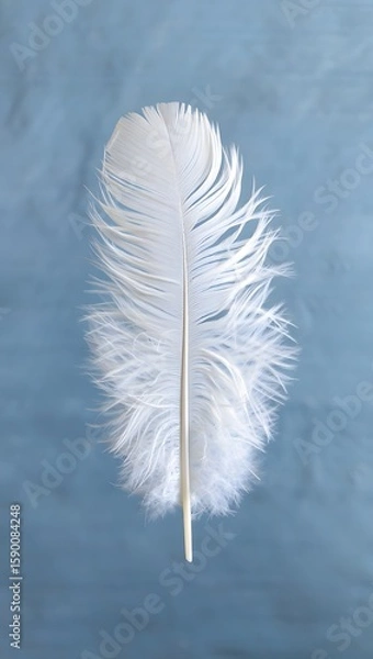 Fototapeta Isolated white feather on blue background for design element or artistic composition