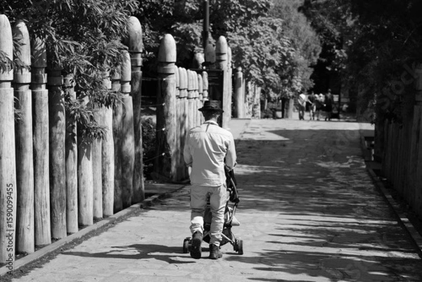 Fototapeta walking in the park