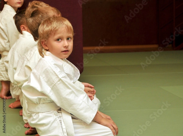 Obraz aikido boys