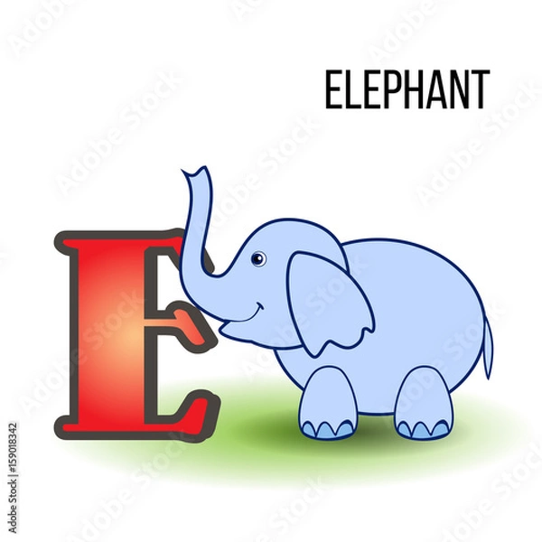 Fototapeta Cute zoo English alphabet E with elephant cartoon, vector colorful illustration kid animal isolated on white background, Education for children preschool, posters for learn to read, character design