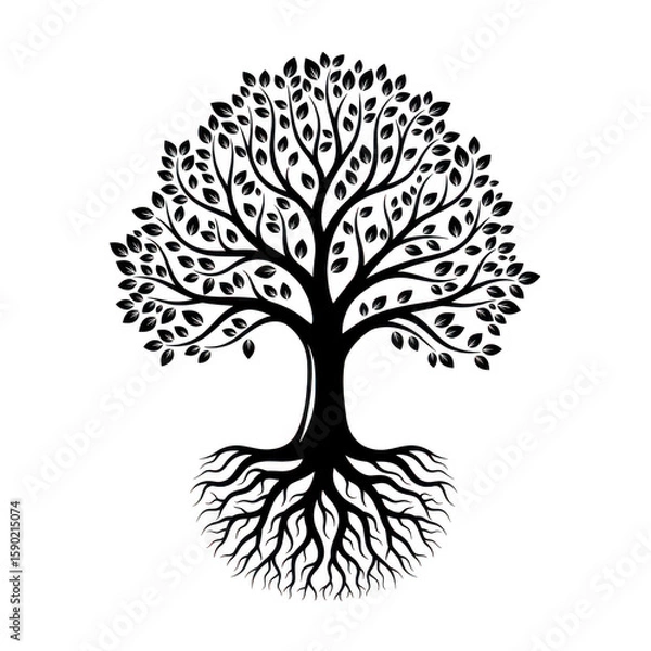 Fototapeta Stylized white tree of life with intricate branches and roots isolated on transparent background