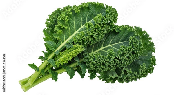 Fototapeta Isolated Kale