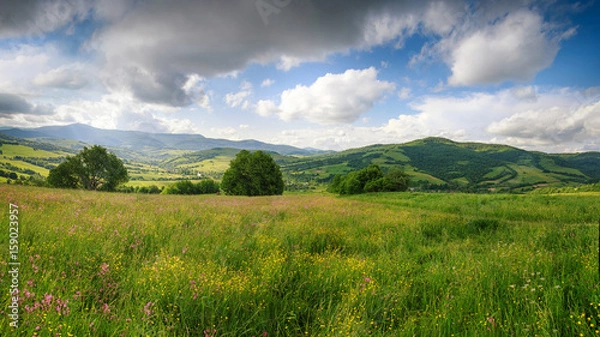 Fototapeta Panoramiczny widok na kwitnące kwiaty, letnią łąkę w górach i błękitne zachmurzone niebo. Sezony alpejskie, naturalne tło.