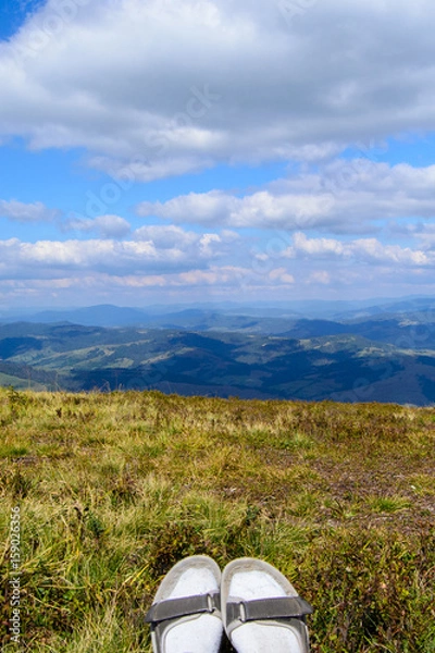 Fototapeta Carpathian Mountains in summer time