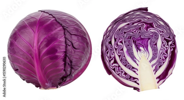 Obraz Isolated Red Cabbage Whole and Cut