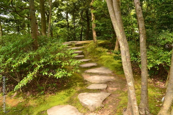 Obraz 飛び石と庭園