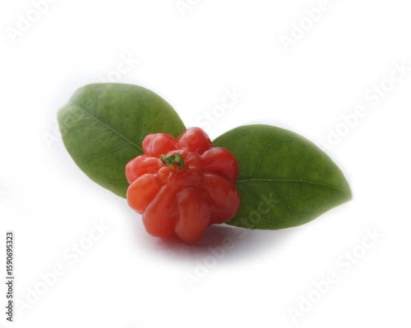 Obraz Pitanga fruit on a white background