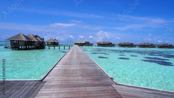 Obraz Maldives