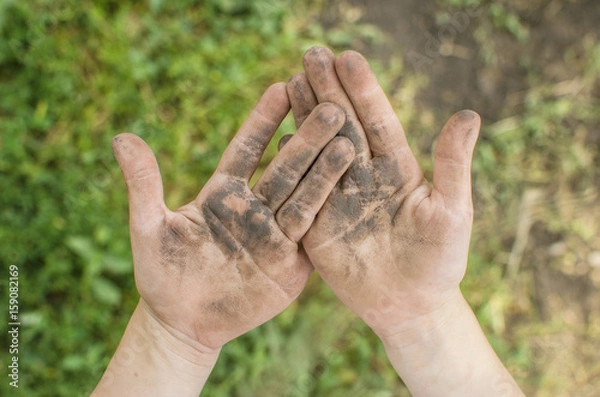 Obraz Dirty palms of the child. Dirty hands of a child in the ground. hygiene. Child cleanliness education