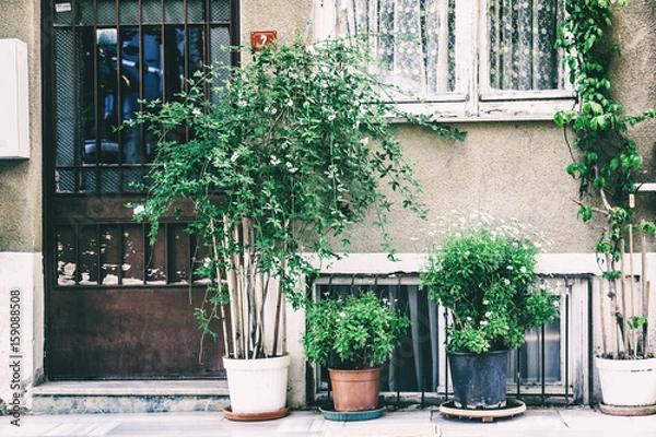 Fototapeta Exterior of the house, with flowers and plants in pots. Image with retro effect