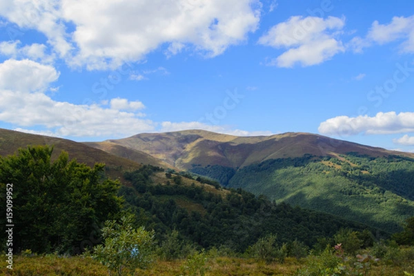 Fototapeta Carpathian Mountains in summer time
