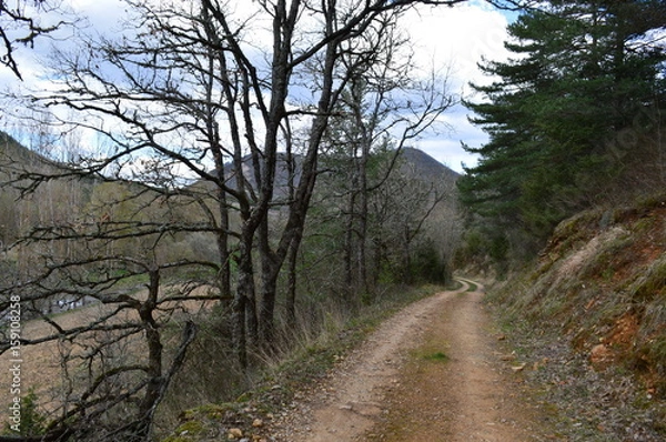 Obraz chemin vers Nant