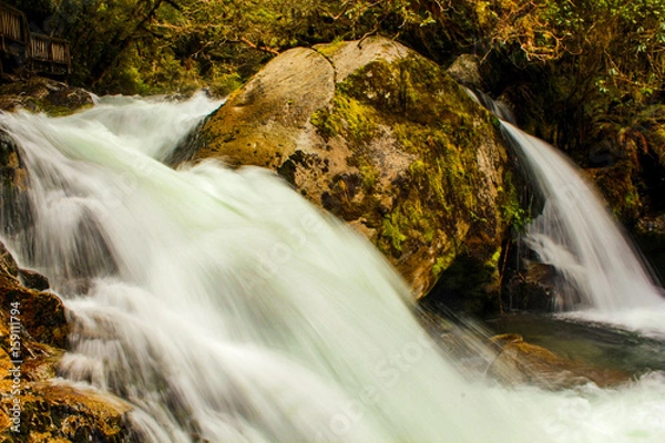 Obraz Waterfall Portrait