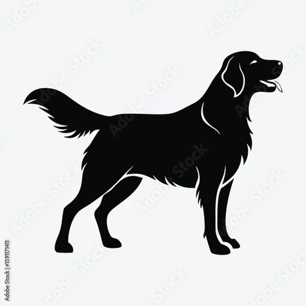 Obraz Golden Retriever Silhouette Graceful Dog Vector Illustration for Pet Care Branding