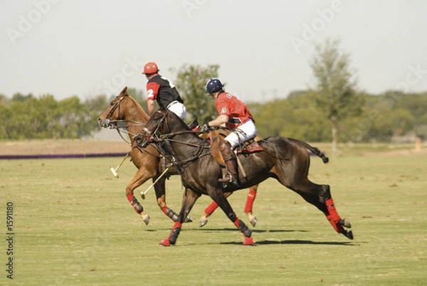 Fototapeta texas polo match