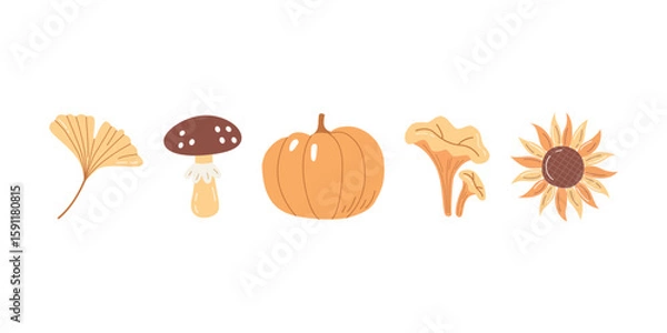 Fototapeta Hand Drawn Autumn Harvest Set Pumpkin, Mushroom, Sunflower, Ginkgo Leaf and Chanterelle Illustration