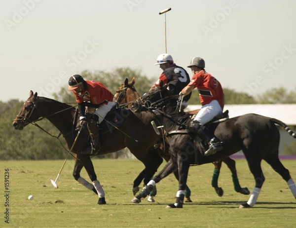 Fototapeta texas polo match