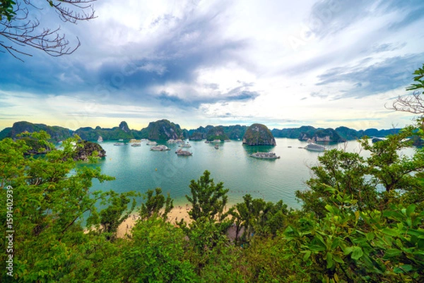 Fototapeta Viewpoint from the top of the Ti Top island, providing panoramic views of the bay. Ha Long Bay, Vietnam