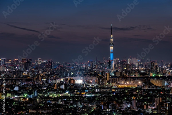 Obraz スカイツリーと東京都心の夜景