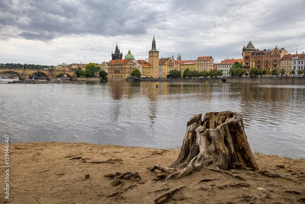 Fototapeta Prague's Vltava River, Charles Bridge, Old Town, and a tree stump. Calm history.