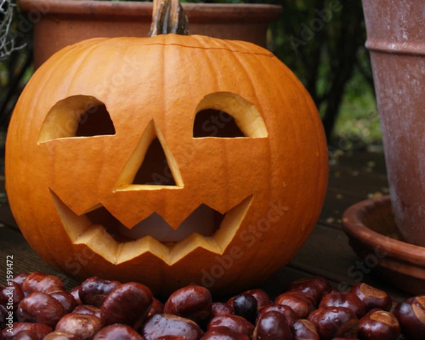 Fototapeta halloweenkürbis