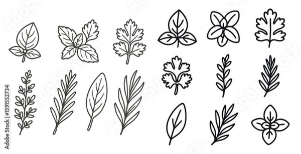 Fototapeta Set of stylized plant leaves in black and white. The leaves are arranged in a grid, with some overlapping and others standing alone. Scene is calm and serene, with the simple lines