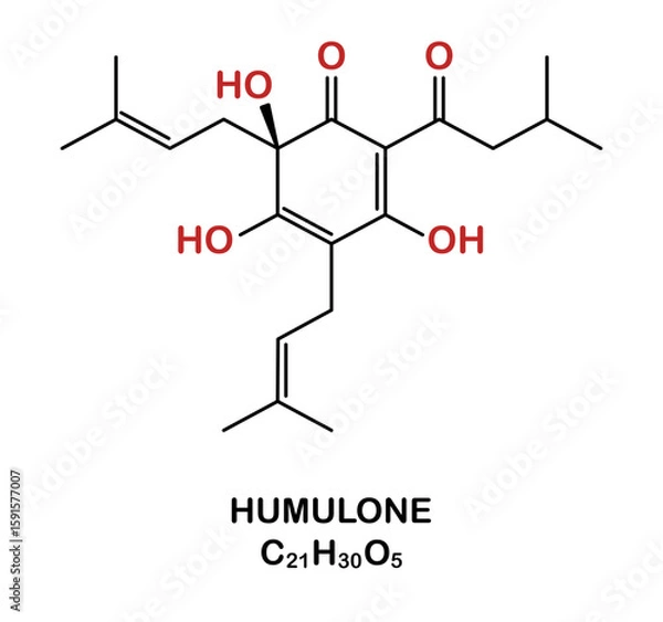 Fototapeta Chemical structure of humulone compound.