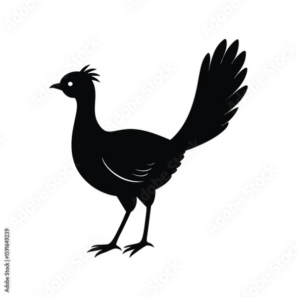 Fototapeta A lyrebird bird silhouette vector illustration.