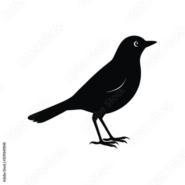 Fototapeta A pipit bird silhouette vector illustration.
