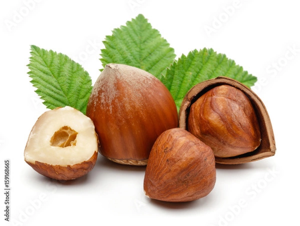 Obraz Hazelnuts