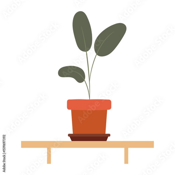 Obraz Potted plant on a wooden shelf showcasing greenery in a minimalist indoor space. Isolated vector illustration in flat style on white background.