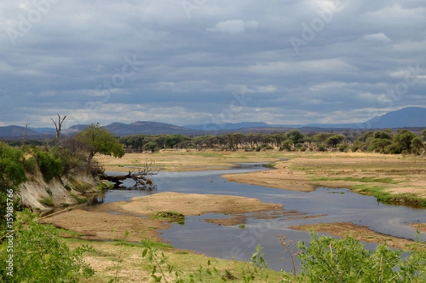 Obraz The River Ruaha