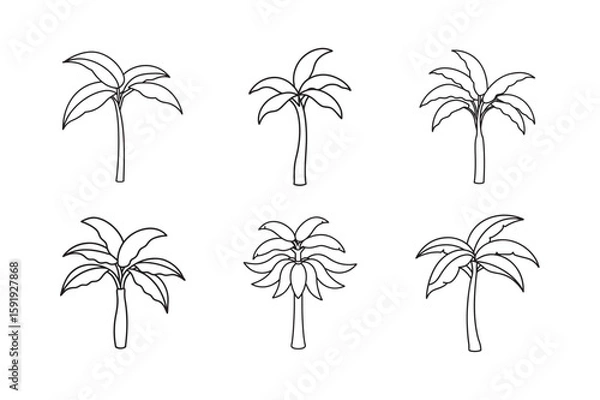 Obraz line art banana tree drawing set bundle