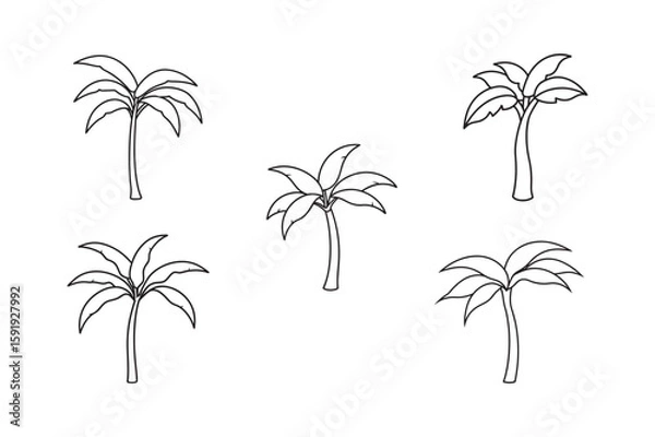 Obraz line art banana tree drawing set bundle