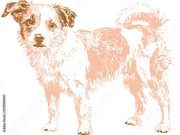 Fototapeta Hand drawn flat vector illustration of a dog in soft colors  