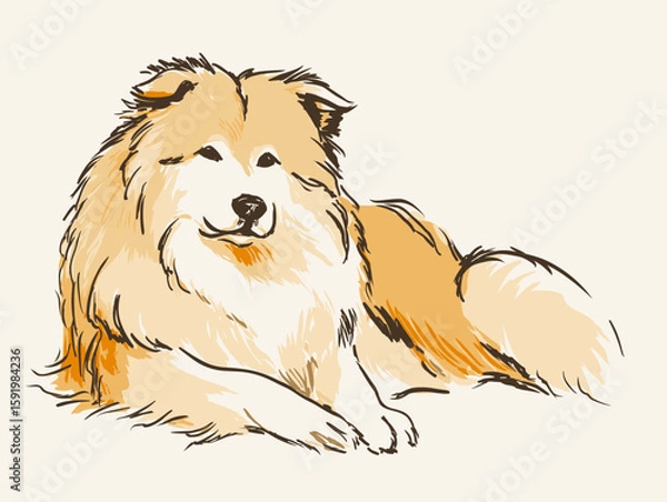 Fototapeta Hand drawn flat vector illustration of a dog lying calmly on a light background  