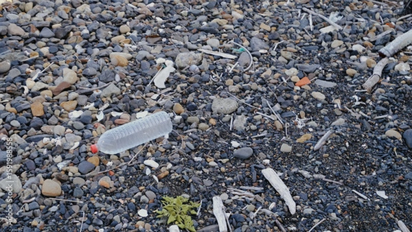 Fototapeta 浜に流れ着いたペットボトル